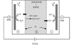 陽(yáng)極氧COD的處理及COD測(cè)定儀解決方案