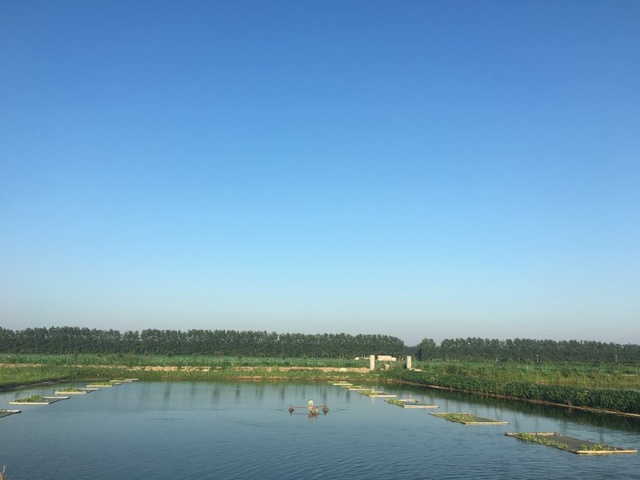 魚池常測(cè)的水質(zhì)指標(biāo)有哪些？漁民和技術(shù)員必看